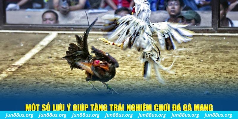 Đá Gà Mạng Jun88: Trải Nghiệm Chơi Đá Gà Trực Tuyến Hấp Dẫn 6 Một số lưu ý giúp tăng trải nghiệm chơi Đá gà mạng