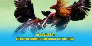 Đá gà cựa sắt độc quyền tại cổng cược Jun88