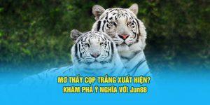 Mơ thấy cọp trắng là điềm gì? Đánh số mấy để trúng?