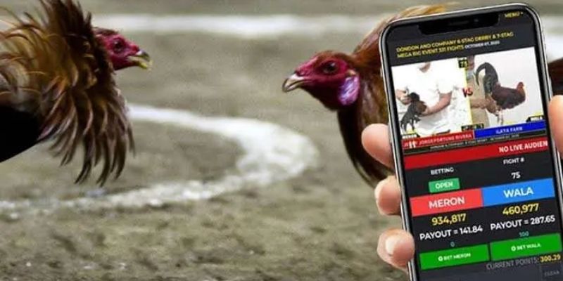 Giao diện đá gà online với tỷ lệ thưởng 1 ăn 97